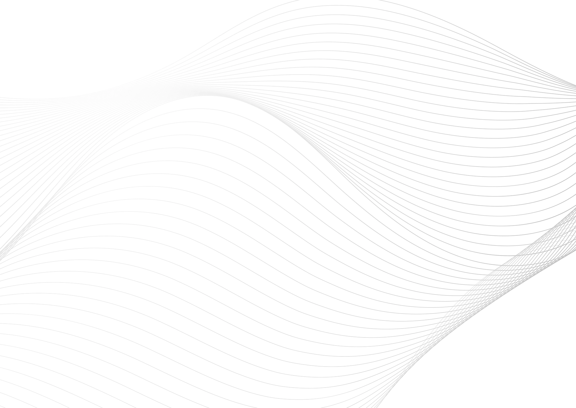 Web Site Tasarımcısı, Dulkadiroğlu